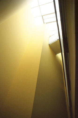 Ein Foto von Friedrich Achleitner